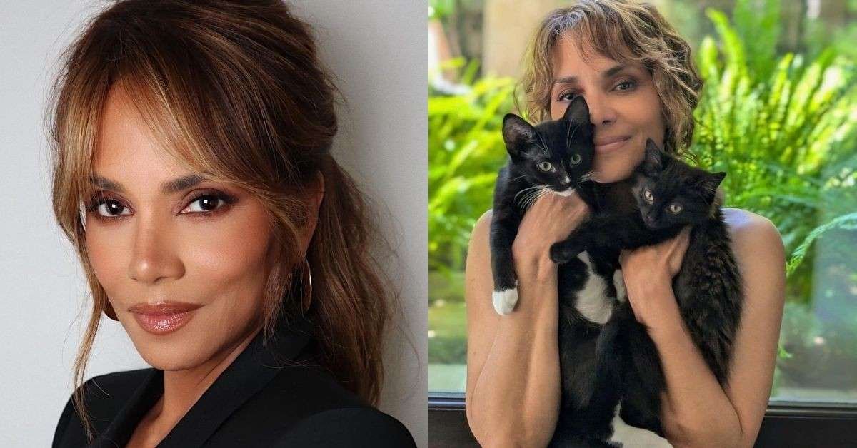 Halle Berry reveals shocking injury count from action movies